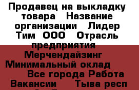 Продавец на выкладку товара › Название организации ­ Лидер Тим, ООО › Отрасль предприятия ­ Мерчендайзинг › Минимальный оклад ­ 27 000 - Все города Работа » Вакансии   . Тыва респ.,Ак-Довурак г.